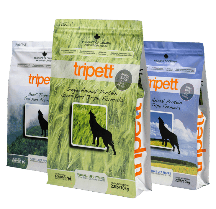 Healthy Dog Food